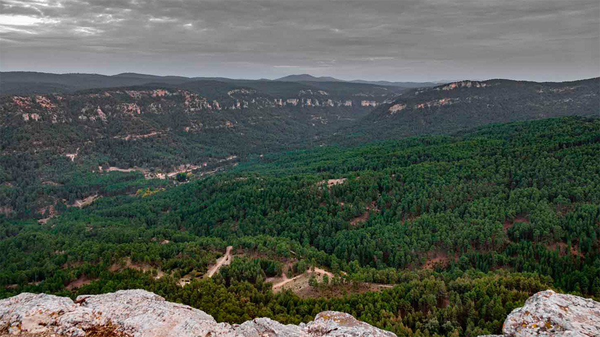 Parque Natural Del Hosquillo Cuenca Es Turismo