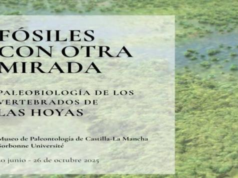 fosiles_con_otra_mirada