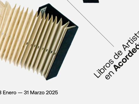 libros_artista_acordeon libros_artista_acordeon